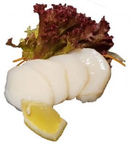 Sashimi Jacobsschelp